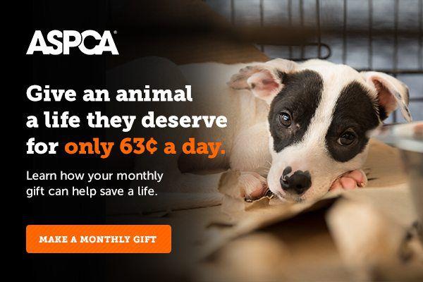 image for enterprise